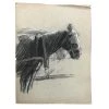 Vintage Evert Rabbers Horse Drawing 45