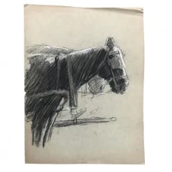 Vintage Evert Rabbers Horse Drawing 45