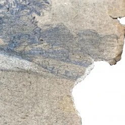 Vintage Evert Rabbers Landscape Drawing 31