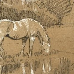 Vintage Evert Rabbers Horse Drawing 53