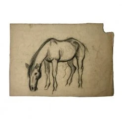 Vintage Art & Objects Evert Rabbers Horse Drawing 60