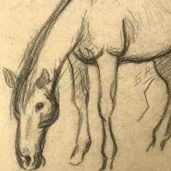 Vintage Art & Objects Evert Rabbers Horse Drawing 60
