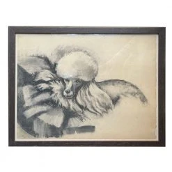 Vintage 19th Century Framed Poodle Portrait Art & Objects