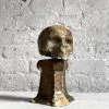 Vintage Vintage & Antiques Early 20th Century Carved Austrian Skull