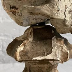 Vintage Early 20th Century Carved Austrian Skull Vintage & Antiques