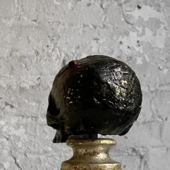 Vintage Early 20th Century Carved Austrian Skull