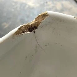 Vintage 18th Century French Jardiniere Dining & Tabletop