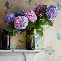 Vintage Vases & Pitchers 18th Century Pickling Jar (No. 0502)