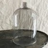 Vintage 19th Century French Glass Cloche