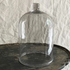 Vintage 19th Century French Glass Cloche