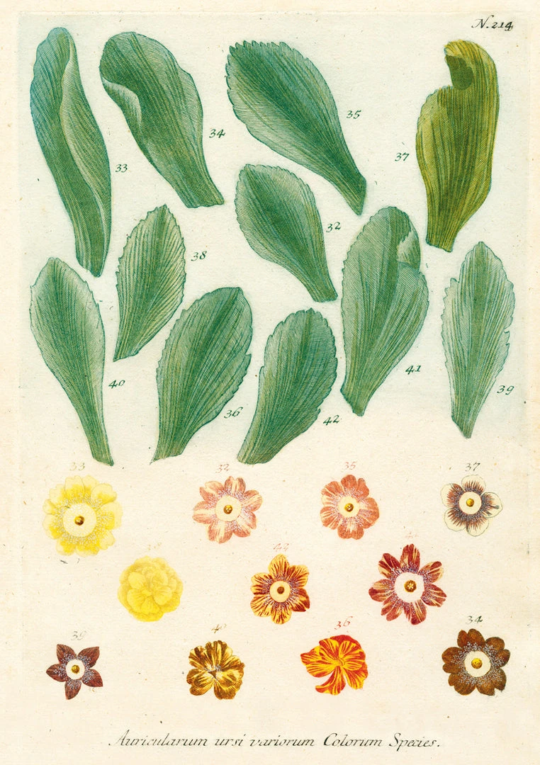 John Derian Company Inc Kitchen Delight Notebook Set Ceramic & Porcelain Fruit 10 John Derian Company Inc Kitchen Delight Notebook Set Ceramic & Porcelain Fruit