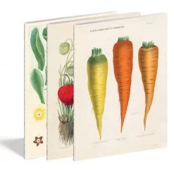 John Derian Company Inc Kitchen Delight Notebook Set Ceramic & Porcelain Fruit 11 John Derian Company Inc Kitchen Delight Notebook Set Ceramic & Porcelain Fruit