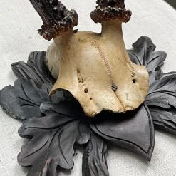 Vintage Antique Black Forest Carved Antlers With Carved Plaque (H41) Vintage & Antiques