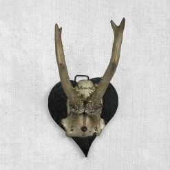 Vintage Vintage & Antiques Antique Black Forest Carved Antlers With Carved Plaque (H44)