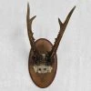 Vintage Vintage & Antiques Antique Black Forest Carved Antlers With Carved Plaque (H46)