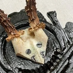 Vintage Antique Black Forest Carved Antlers With Carved Plaque (H47) Vintage & Antiques