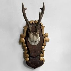 Vintage Vintage & Antiques Black Forest Gilded Antler Pair (H631/2)