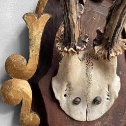 Vintage Vintage & Antiques Black Forest Gilded Antler Pair (H631/2)