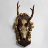 Vintage Vintage & Antiques Black Forest Gilded Antler Pair (H631/2)