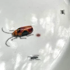 Botticelli Ceramics Dining & Tabletop Cracked Bug Platter (BC147)