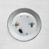 Botticelli Ceramics Cracked Bug Plate (BC138) Dining & Tabletop