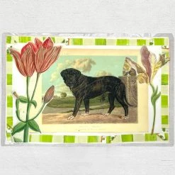John Derian Company Inc Dining & Tabletop One Of A Kind Collaged Mats (Dogs - Set Of 6)