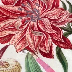 John Derian Company Inc One Of A Kind Collaged Mat (No. 105) Dining & Tabletop