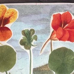 John Derian Company Inc One Of A Kind Collaged Mat (No. 114) Dining & Tabletop