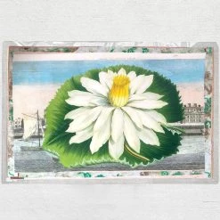 John Derian Company Inc One Of A Kind Collaged Mat (No. 129)