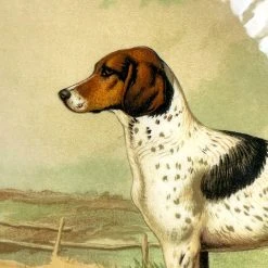 John Derian Company Inc Dining & Tabletop One Of A Kind Collaged Mats (Dogs - Set Of 6)