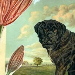 John Derian Company Inc Dining & Tabletop One Of A Kind Collaged Mats (Dogs - Set Of 6)