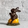 Ino Schaller Papier Mâché Bunny On Egg