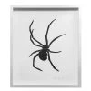 Hugo Guinness "Spider" In Custom Frame Art & Objects