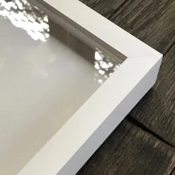 Hugo Guinness "Spider" In Custom Frame Art & Objects