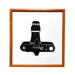 Hugo Guinness Art & Objects "Camera (Nikon)" In Vintage Frame