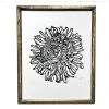 Hugo Guinness "Peony" In Vintage Frame Art & Objects
