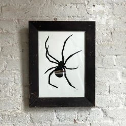 Hugo Guinness "Black Spider" In Vintage Frame Art & Objects