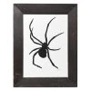 Hugo Guinness "Black Spider" In Vintage Frame Art & Objects 2 Hugo Guinness "Black Spider" In Vintage Frame Art & Objects