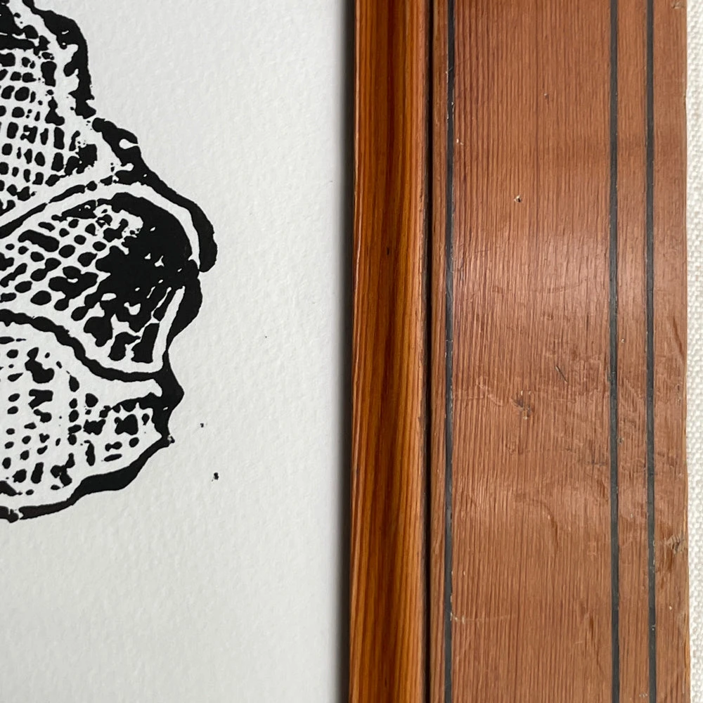 Hugo Guinness "Gothic Rose" In Vintage Frame 5 Hugo Guinness "Gothic Rose" In Vintage Frame