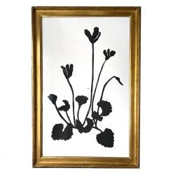 Hugo Guinness "Cyclamen" In Gilded Antique Frame