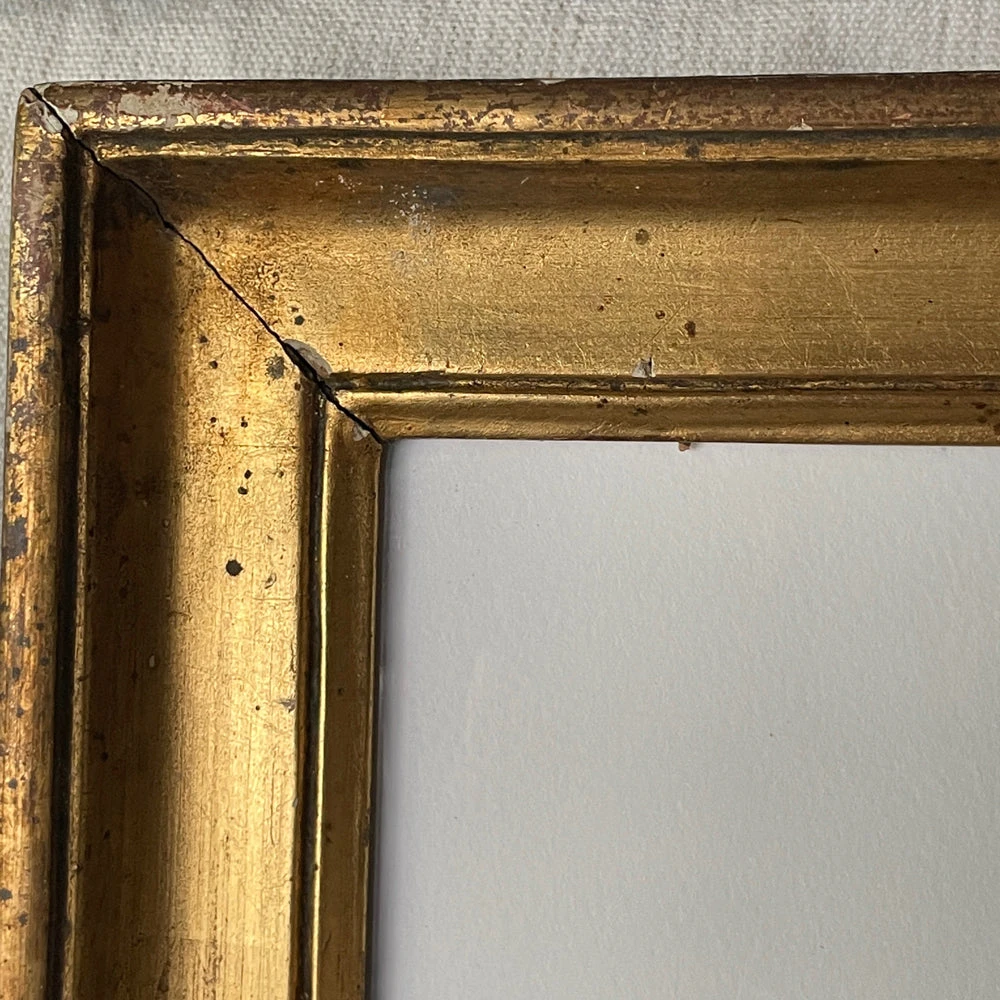 Hugo Guinness "Cyclamen" In Gilded Antique Frame 5 Hugo Guinness "Cyclamen" In Gilded Antique Frame