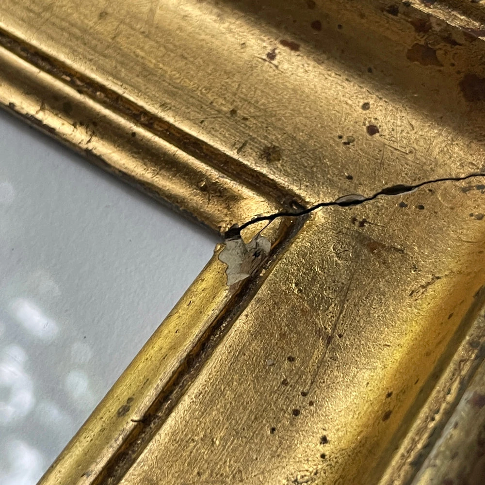 Hugo Guinness "Cyclamen" In Gilded Antique Frame 6 Hugo Guinness "Cyclamen" In Gilded Antique Frame