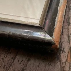 Hugo Guinness Art & Objects "Fig Tree" In Vintage Frame