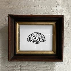 Hugo Guinness "Brain" In Antique Gilded Frame Art & Objects