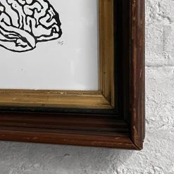 Hugo Guinness "Brain" In Antique Gilded Frame Art & Objects 10 Hugo Guinness
