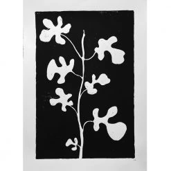 Hugo Guinness Fig Art & Objects