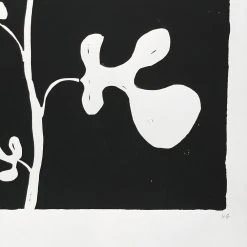 Hugo Guinness Fig Art & Objects