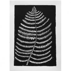 Hugo Guinness Fern Art & Objects