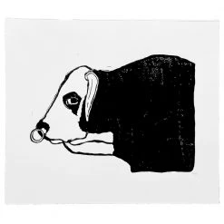 Hugo Guinness Bull Art & Objects