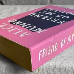 Leanne Shapton "Friend Of My Youth" Wooden Book Object D'art